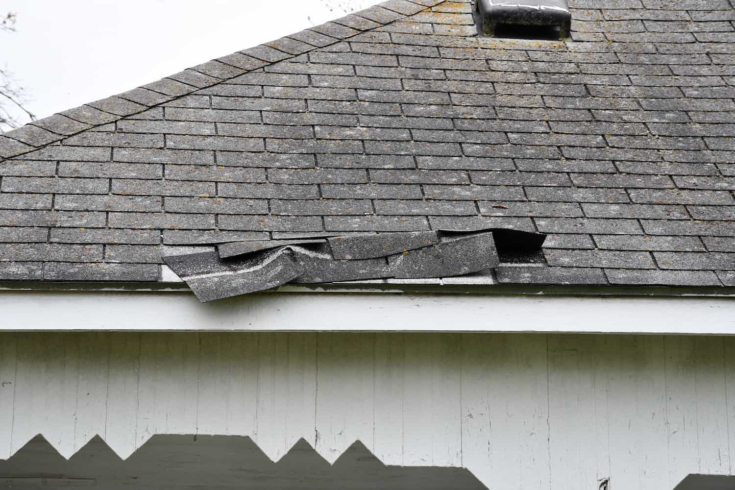 Roof Repair Royal Palm Estates