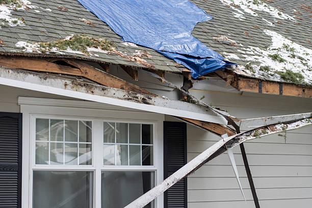 Roof Repair in Savannah