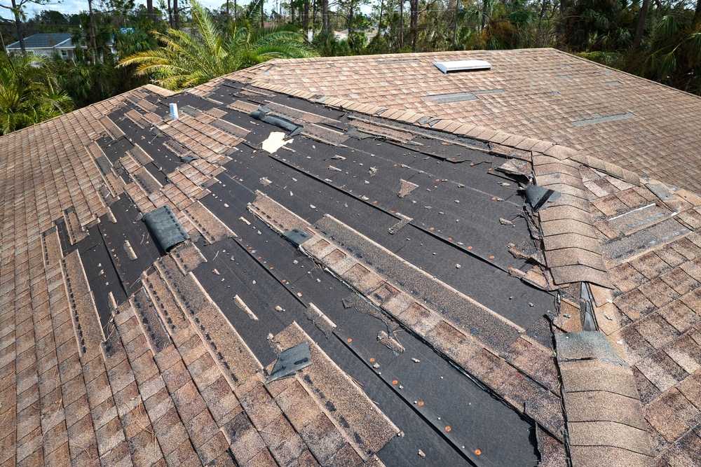 Roof Repair in Landmark Ranch Estates