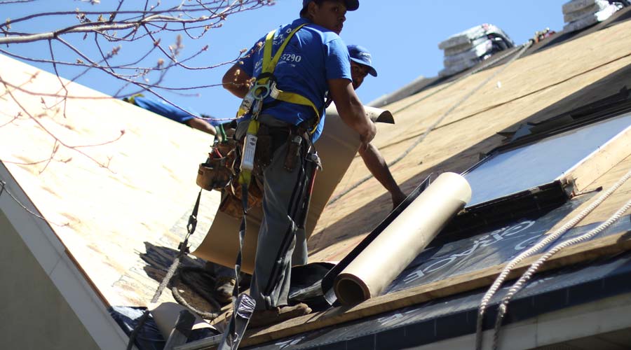 Roof Repair in Plantation Gardens